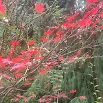 Emerald Bed & Breakfast