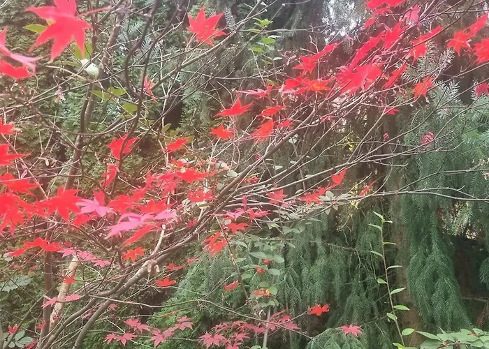 Emerald Bed & Breakfast